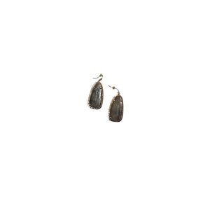 Elegant Silver and Gold Drop Earrings